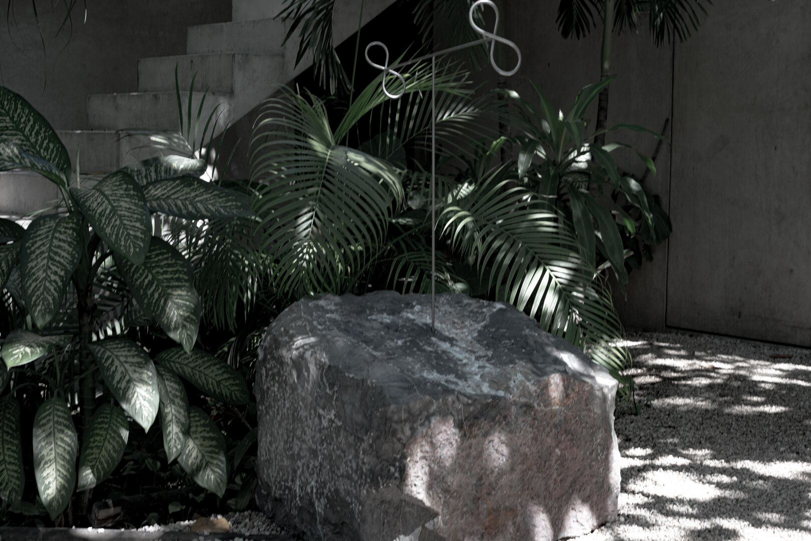 Sculpture I in a garden of palms, dappled light on the gravel